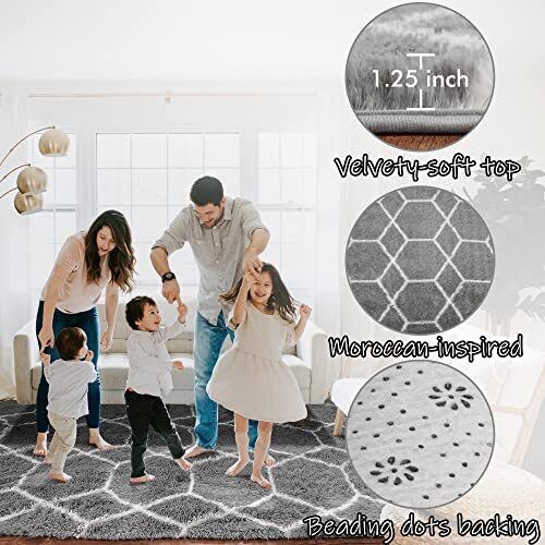 BSTLUV Fluffy Shag Rugs for Living Room6x9 Area RugGray Soft Fuzzy Rug for Be...